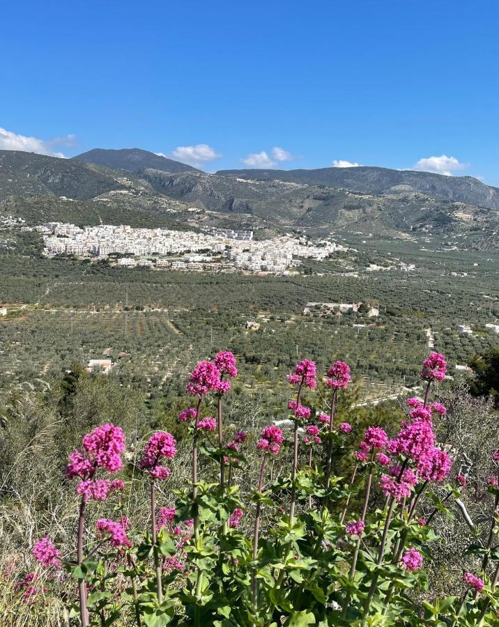 Orchidea Mattinata Parco Del Gargano Διαμέρισμα Εξωτερικό φωτογραφία