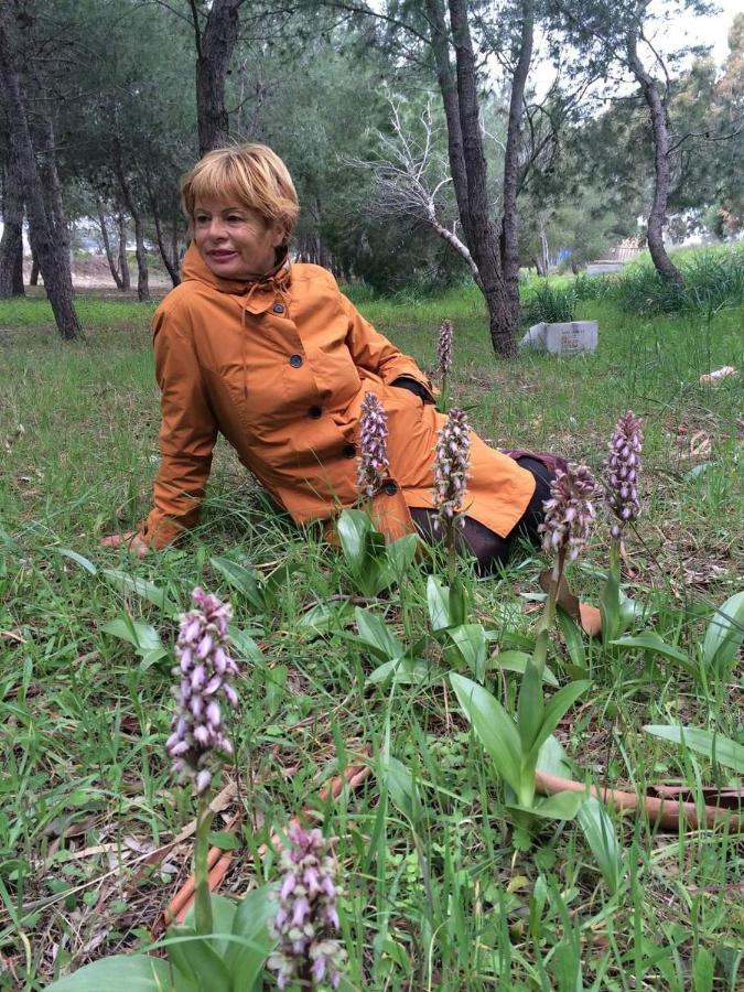 Orchidea Mattinata Parco Del Gargano Διαμέρισμα Εξωτερικό φωτογραφία