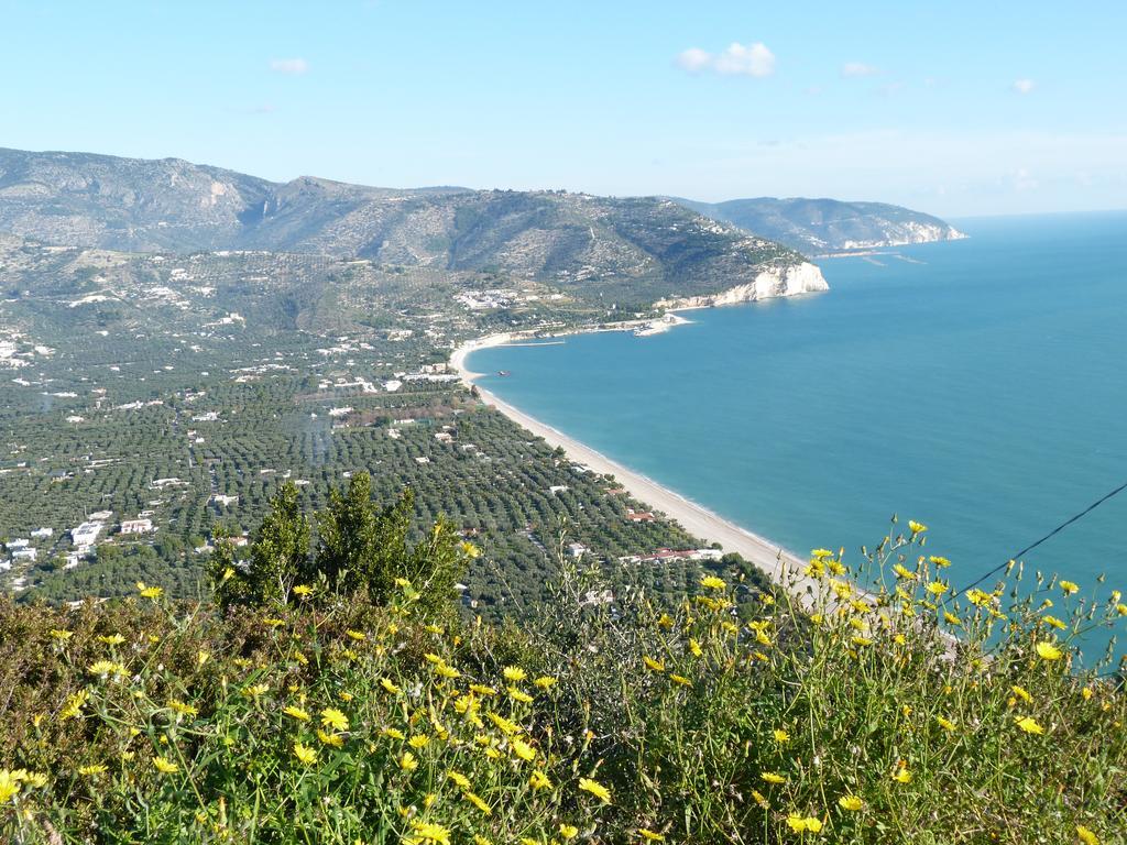 Orchidea Mattinata Parco Del Gargano Διαμέρισμα Εξωτερικό φωτογραφία