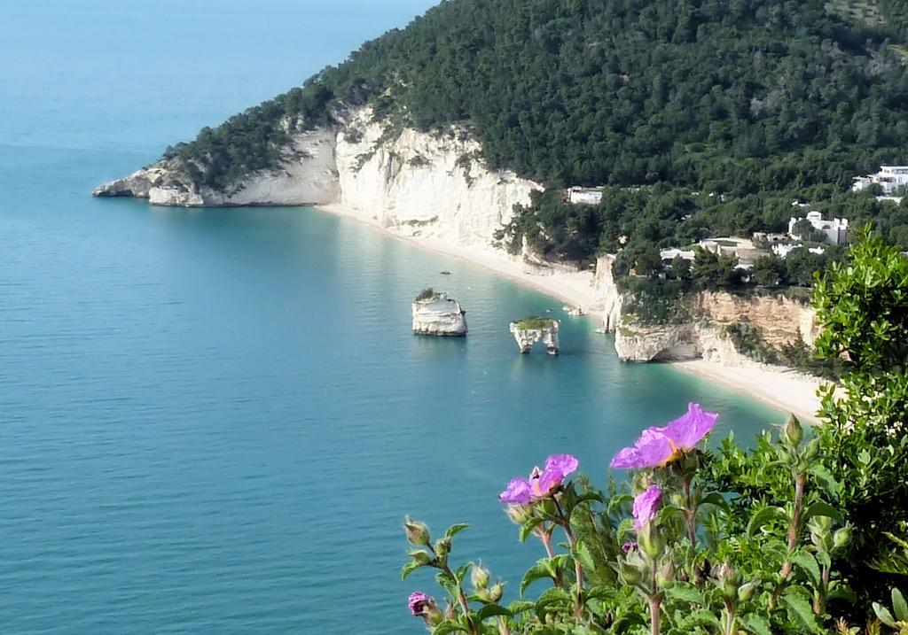Orchidea Mattinata Parco Del Gargano Διαμέρισμα Εξωτερικό φωτογραφία